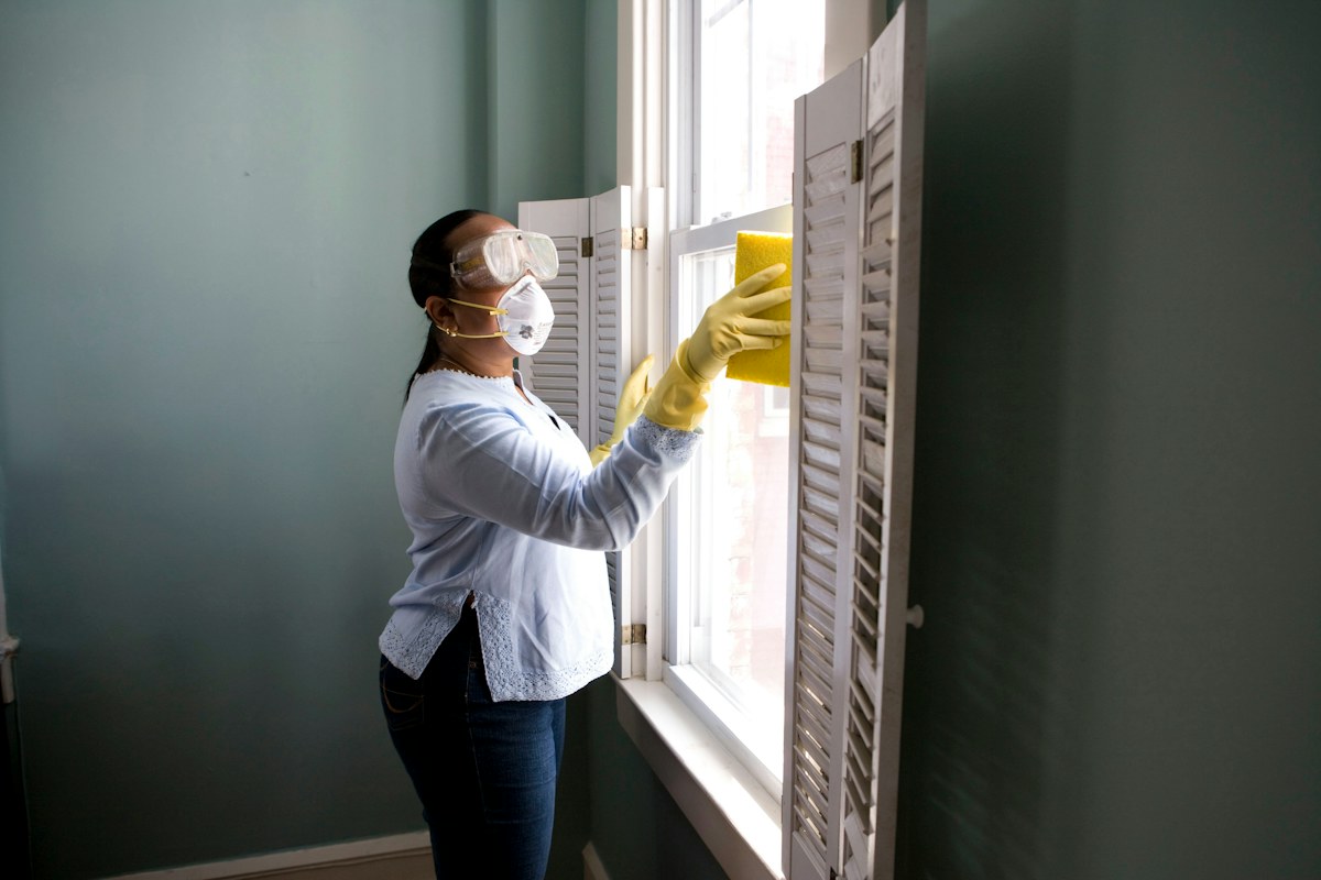 Professional cleaner carefully working in a bright home